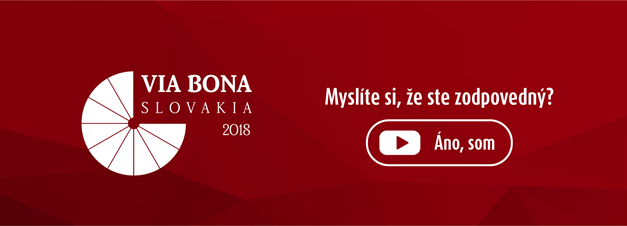 ViaBona Pontis